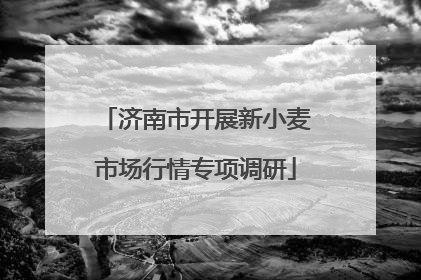 济南市开展新小麦市场行情专项调研