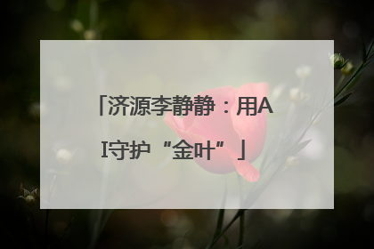 济源李静静：用AI守护“金叶”