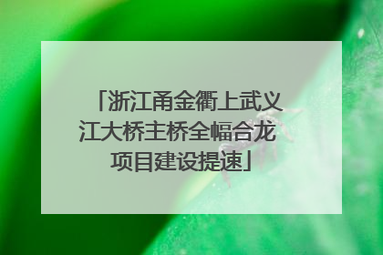 浙江甬金衢上武义江大桥主桥全幅合龙 项目建设提速