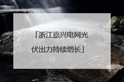 浙江嘉兴电网光伏出力持续增长