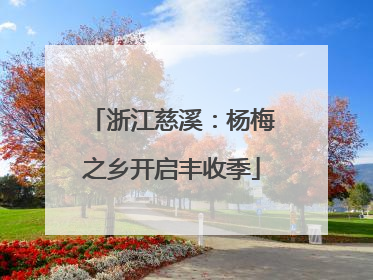 浙江慈溪：杨梅之乡开启丰收季