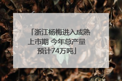 浙江杨梅进入成熟上市期 今年总产量预计74万吨