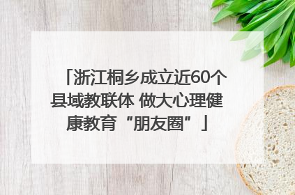 浙江桐乡成立近60个县域教联体 做大心理健康教育“朋友圈”