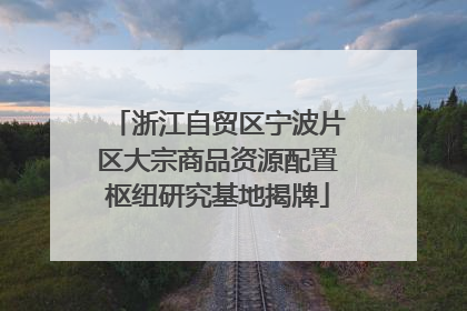浙江自贸区宁波片区大宗商品资源配置枢纽研究基地揭牌