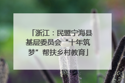 浙江：民盟宁海县基层委员会“十年筑梦”帮扶乡村教育