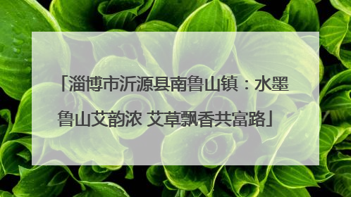 淄博市沂源县南鲁山镇：水墨鲁山艾韵浓 艾草飘香共富路
