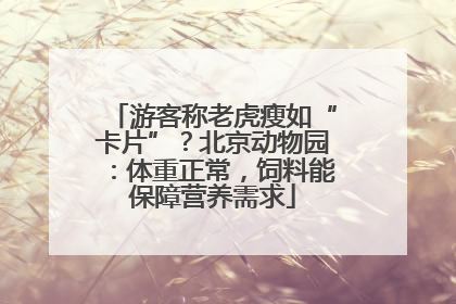 游客称老虎瘦如“卡片”？北京动物园：体重正常，饲料能保障营养需求