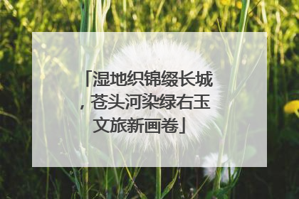 湿地织锦缀长城，苍头河染绿右玉文旅新画卷