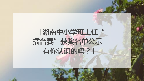 湖南中小学班主任“擂台赛”获奖名单公示 有你认识的吗？