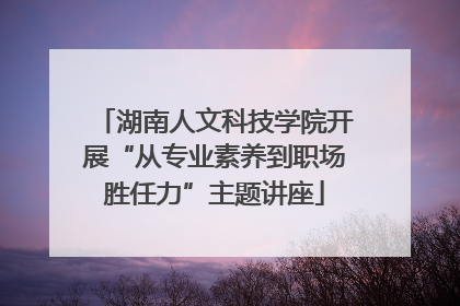 湖南人文科技学院开展“从专业素养到职场胜任力”主题讲座