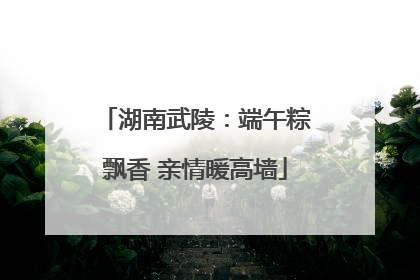 湖南武陵：端午粽飘香 亲情暖高墙
