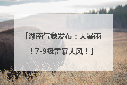 湖南气象发布：大暴雨！7-9级雷暴大风！