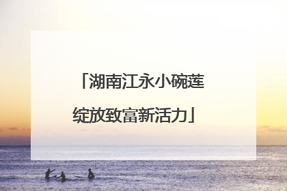 湖南江永小碗莲绽放致富新活力