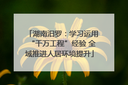 湖南汨罗：学习运用“千万工程”经验 全域推进人居环境提升