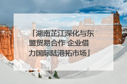湖南芷江深化与东盟贸易合作 企业借力国际陆港拓市场