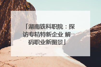 湖南铁科职院：探访专精特新企业 解码职业新图景