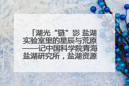湖光“链”影 盐湖实验室里的星辰与荒原——记中国科学院青海盐湖研究所，盐湖资源化学实验室党总支书记、副主任刘忠