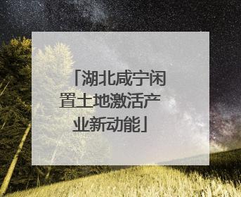 湖北咸宁闲置土地激活产业新动能