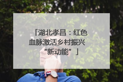 湖北孝昌：红色血脉激活乡村振兴“新动能”