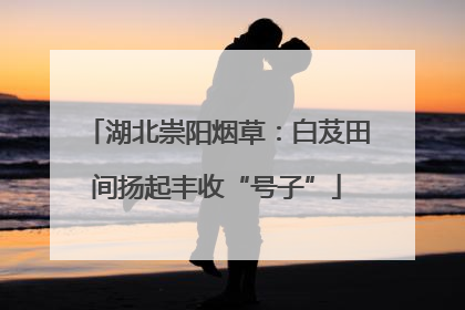 湖北崇阳烟草：白芨田间扬起丰收“号子”