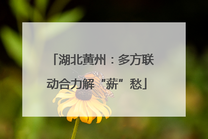 湖北黄州：多方联动合力解“薪”愁