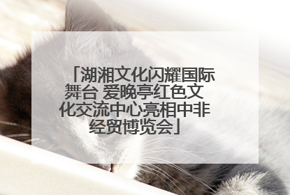 湖湘文化闪耀国际舞台 爱晚亭红色文化交流中心亮相中非经贸博览会