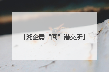湘企勇“闯”港交所