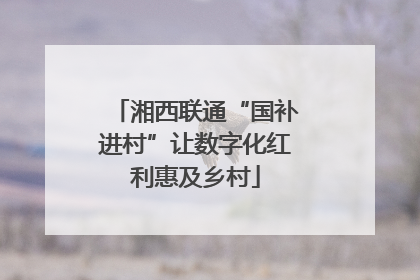 湘西联通“国补进村”让数字化红利惠及乡村