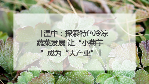 湟中：探索特色冷凉蔬菜发展 让“小菊芋”成为“大产业”
