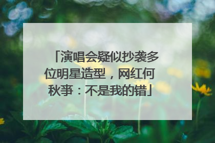 演唱会疑似抄袭多位明星造型，网红何秋亊：不是我的错