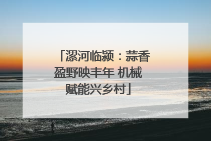 漯河临颍：蒜香盈野映丰年 机械赋能兴乡村