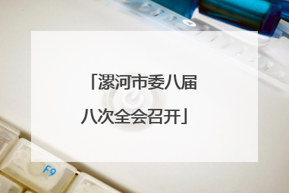漯河市委八届八次全会召开