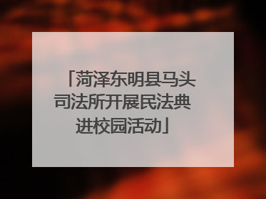 菏泽东明县马头司法所开展民法典进校园活动