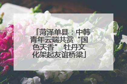 菏泽单县：中韩青年云端共赏“国色天香” 牡丹文化架起友谊桥梁