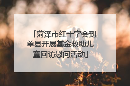 菏泽市红十字会到单县开展基金救助儿童回访慰问活动