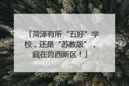 菏泽有所“五好”学校，还是“苏教版”，藏在鲁西新区！