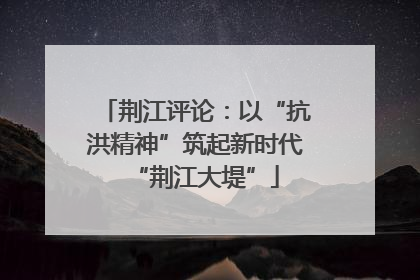 荆江评论：以“抗洪精神”筑起新时代“荆江大堤”
