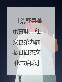 荒野寻茶觅真味，红安县第九届老君眉茶文化节启幕