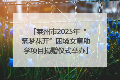 莱州市2025年“筑梦花开”困境女童助学项目捐赠仪式举办