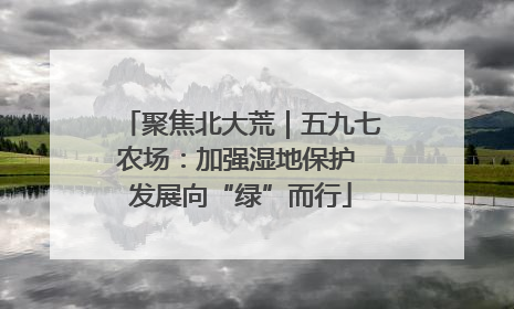 聚焦北大荒｜五九七农场：加强湿地保护 发展向“绿”而行