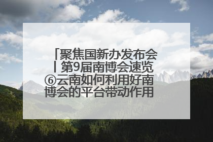 聚焦国新办发布会丨第9届南博会速览⑥云南如何利用好南博会的平台带动作用，深化与南亚国家的交流与合作？
