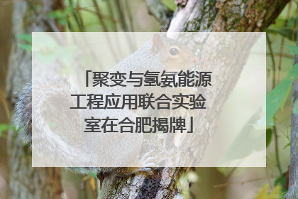 聚变与氢氨能源工程应用联合实验室在合肥揭牌
