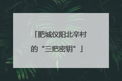 肥城仪阳北辛村的“三把密钥”