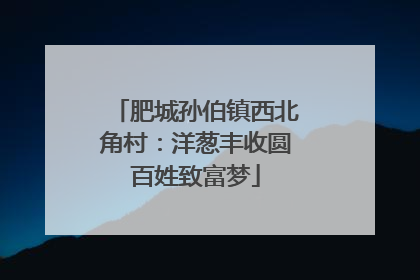 肥城孙伯镇西北角村：洋葱丰收圆百姓致富梦