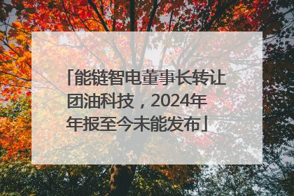 能链智电董事长转让团油科技，2024年年报至今未能发布