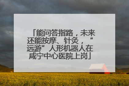 能问答指路，未来还能按摩、针灸，“远游”人形机器人在咸宁中心医院上岗