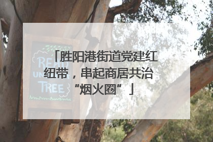 胜阳港街道党建红纽带，串起商居共治 “烟火圈”