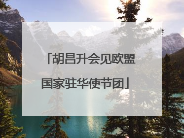 胡昌升会见欧盟国家驻华使节团