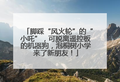 脚踩“风火轮”的“小吒”，可脱离遥控板的机器狗，泡桐树小学来了新朋友！