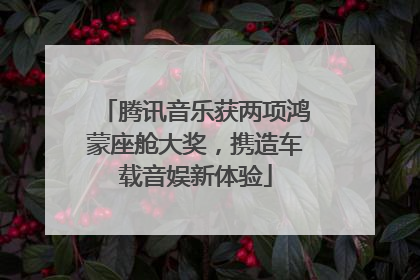 腾讯音乐获两项鸿蒙座舱大奖，携造车载音娱新体验